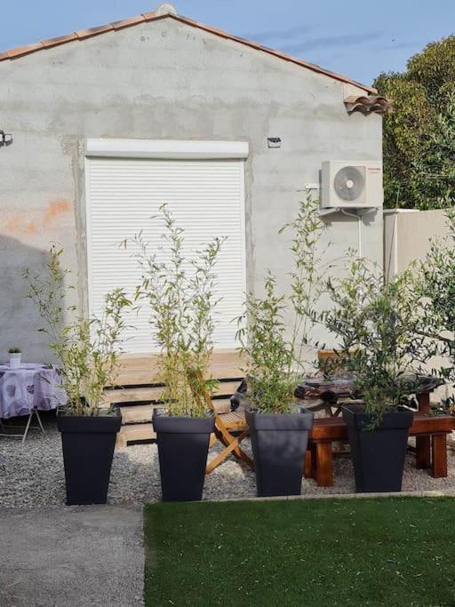 Appartement 53 M² - Pignans Au Coeur Du Var Eksteriør bilde